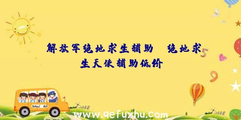 「解放军绝地求生辅助」|绝地求生天使辅助低价